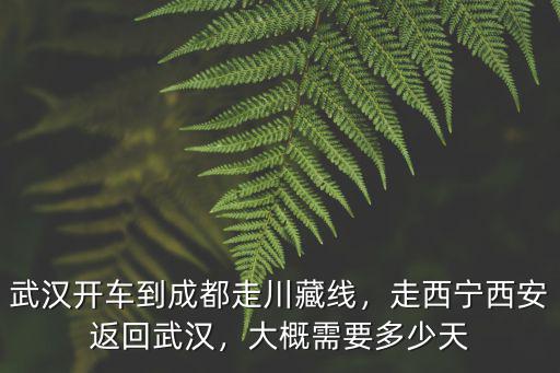 武漢開車到成都走川藏線，走西寧西安返回武漢，大概需要多少天