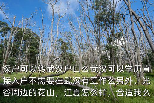 深戶可以轉武漢戶口么武漢可以學歷直接入戶不需要在武漢有工作么另外，光谷周邊的花山，江夏怎么樣，合適我么