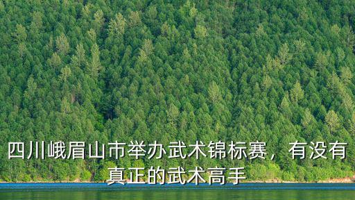 河北有多少武術高手,有沒有真正的武術高手