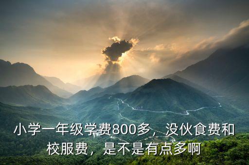 小學一年級學費800多，沒伙食費和校服費，是不是有點多啊