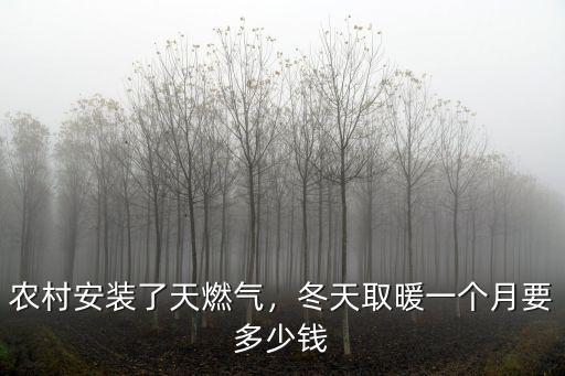 河北農(nóng)村燃?xì)庖环蕉嗌馘X,保定市農(nóng)村燃?xì)舛嗌馘X一立方