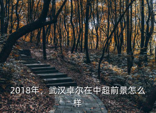 2018年，武漢卓爾在中超前景怎么樣