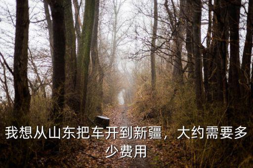 從濟(jì)南到淮南多少油錢,大約需要多少費(fèi)用