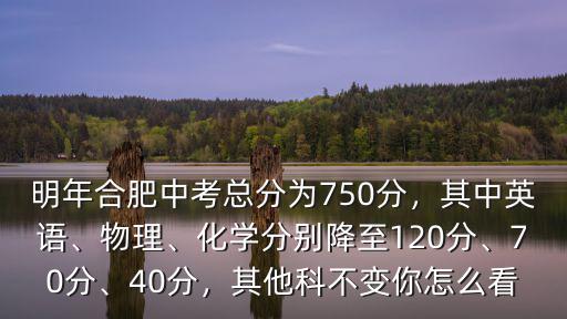 明年合肥中考總分為750分，其中英語、物理、化學分別降至120分、70分、40分，其他科不變你怎么看