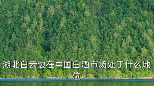 湖北白云邊在中國白酒市場處于什么地位