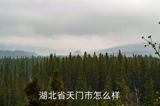 湖北省天門市怎么樣