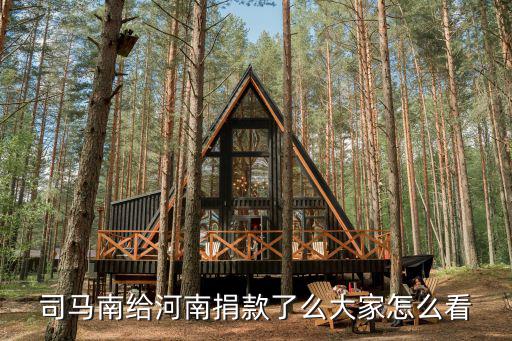 司馬南給河南捐款了么大家怎么看