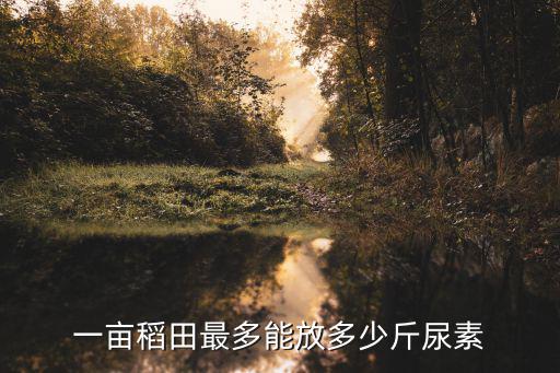 一畝稻田最多能放多少斤尿素