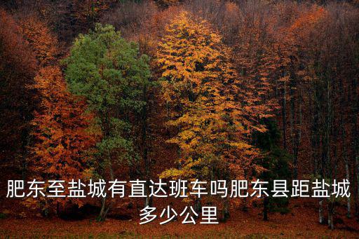 江蘇鹽城到合肥多少公里,肥東縣距鹽城多少公里