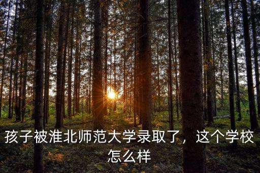 淮北師范大學的升學率是多少,孩子被淮北師范大學錄取了