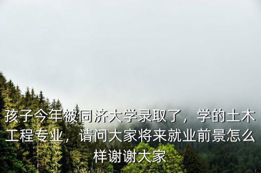 武漢大學土木工程專業就業怎么樣,學的土木工程專業