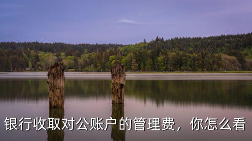 銀行收取對公賬戶的管理費，你怎么看