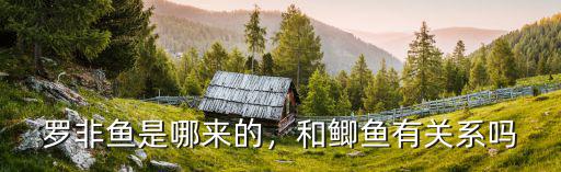 綿陽哪里有羅非魚,羅非魚是哪來的