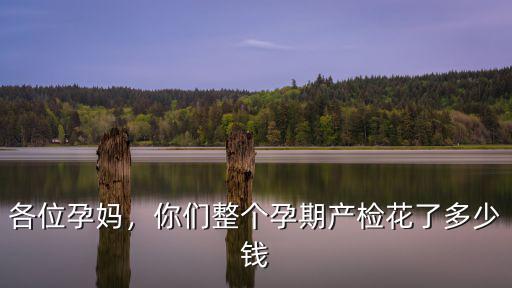 保定產(chǎn)檢花多少錢,你們整個孕期產(chǎn)檢花了多少錢