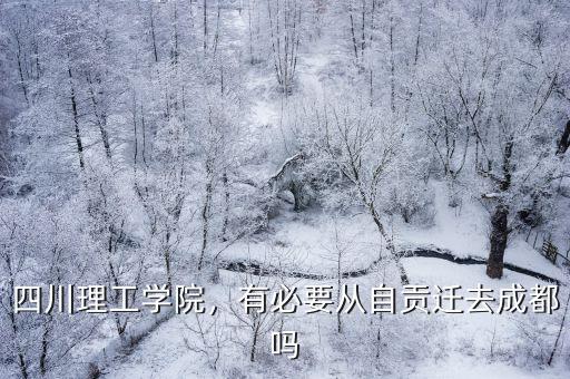 四川理工學院，有必要從自貢遷去成都嗎