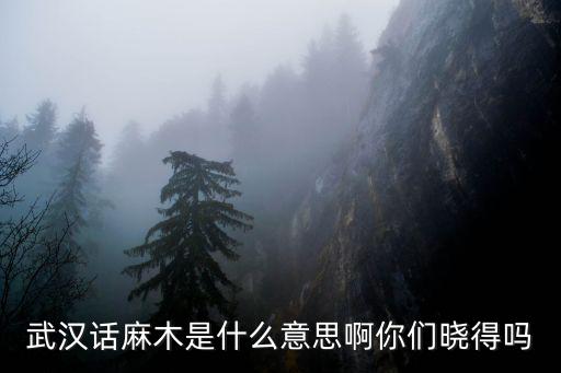小妹武漢話是怎么說的,武漢人究竟說的是什么話