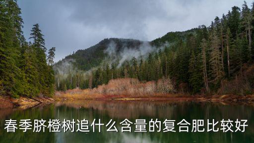 春季臍橙樹追什么含量的復合肥比較好