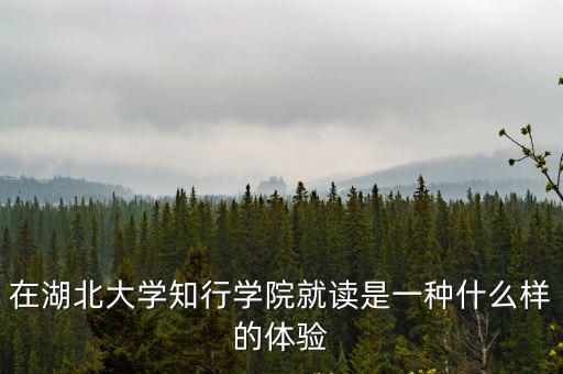 技能高考武漢知行學院宿舍怎么樣,技能高考武漢能讀哪些二本