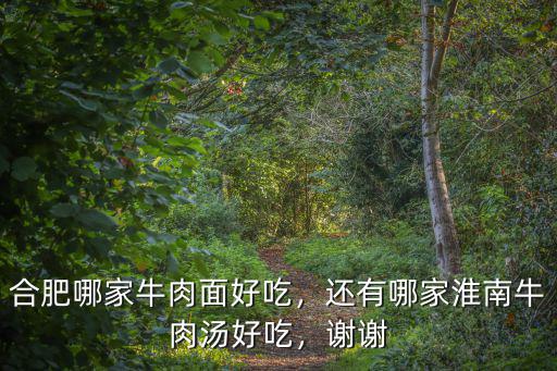 合肥有多少家淮南牛肉湯,還有哪家淮南牛肉湯好吃