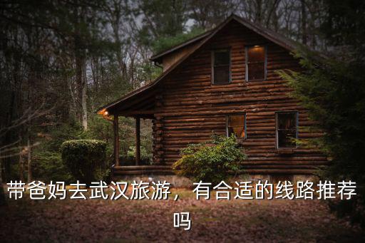 在武漢怎么報旅行團去武漢旅行,去武漢旅游住在哪里比較方便