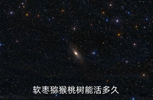 四川哪里種植軟棗獼猴桃,軟棗獼猴桃在河南適合種植嗎