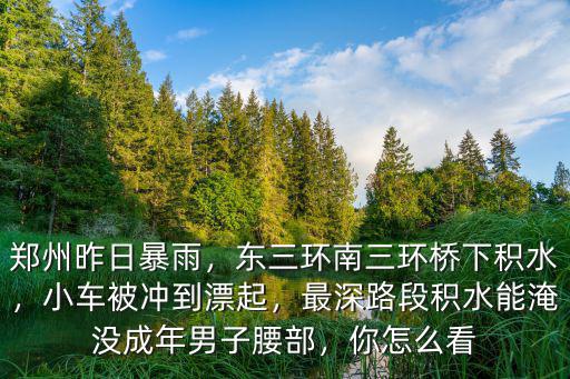 鄭州昨日暴雨，東三環南三環橋下積水，小車被沖到漂起，最深路段積水能淹沒成年男子腰部，你怎么看