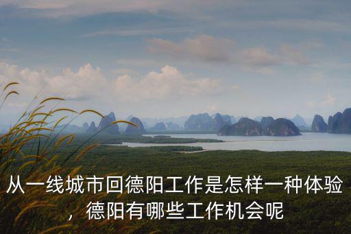 德陽(yáng)人才網(wǎng)哪里找工作,找工作在哪里找更靠譜