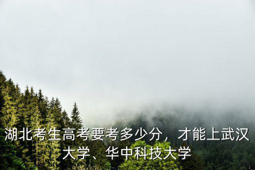 承德考多少分能上武漢大學,多少分能上武漢大學