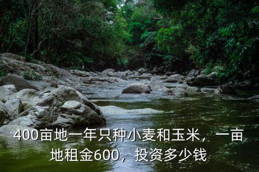 河北一畝地產玉米多少錢,農民一畝地大概能掙多少錢