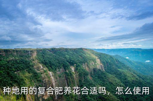 黑色的復(fù)合肥養(yǎng)花放多少,種地用的復(fù)合肥養(yǎng)花合適嗎