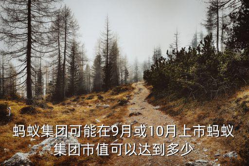 承德螞蟻集團市場估值多少,螞蟻集團的上市估值
