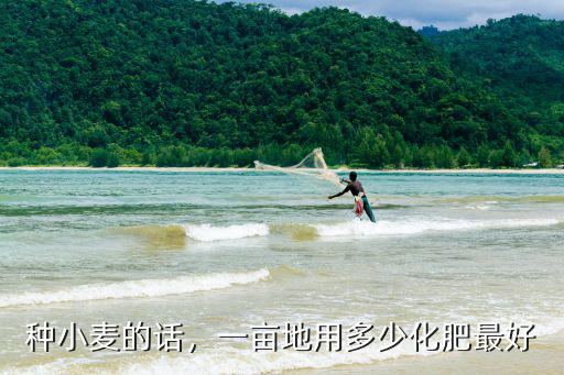 種小麥的話，一畝地用多少化肥最好