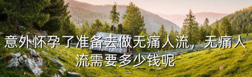 無痛人流要多少錢邢臺(tái),無痛人流需要多少錢呢