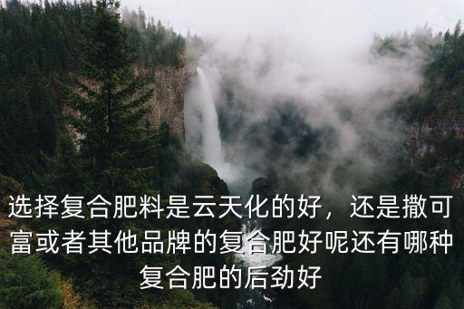 脲甲醛復(fù)合肥的總含量是多少錢,脲甲醛復(fù)合肥怎么樣