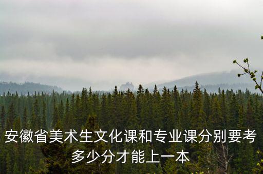 美術生多少分能上一本安徽,安徽美術統考成績272分