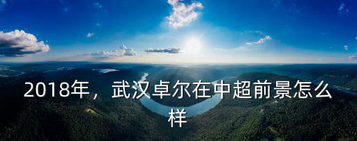 卓爾集團在武漢怎么樣,武漢卓爾在中超前景怎么樣