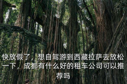 成都哪里可以租車進藏,從成都租車進藏