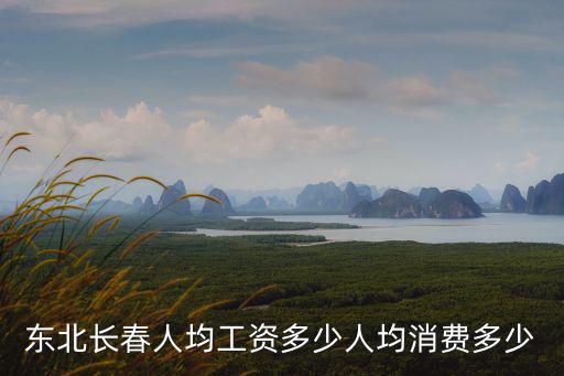 邯鄲市人均消費支出是多少,人均消費多少
