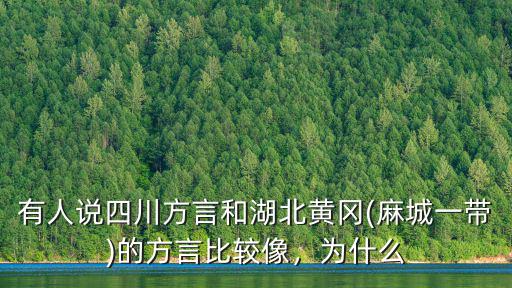 有人說四川方言和湖北黃岡(麻城一帶)的方言比較像，為什么