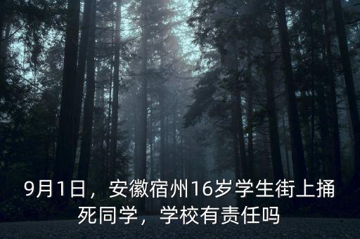 9月1日，安徽宿州16歲學(xué)生街上捅死同學(xué)，學(xué)校有責(zé)任嗎