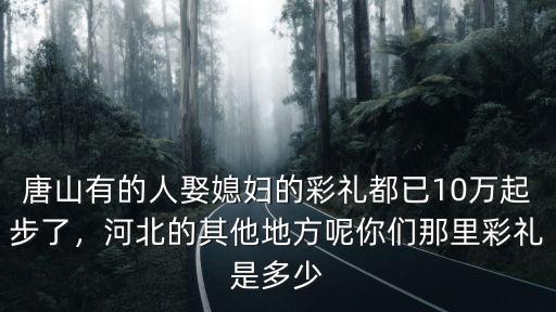河北冀州結(jié)婚給多少彩禮,娶媳婦一般給多少彩禮