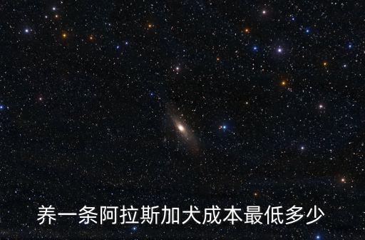 秦皇島阿拉斯加犬多少錢一只,幼犬大概多少錢一只