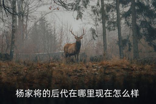 楊家將的后代在哪里現在怎么樣