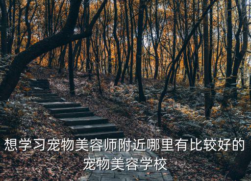 德陽哪里學(xué)習(xí)寵物美容,寵物美容學(xué)習(xí)多少錢
