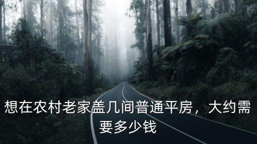 在老家衡水蓋房需要多少錢,大約需要多少錢