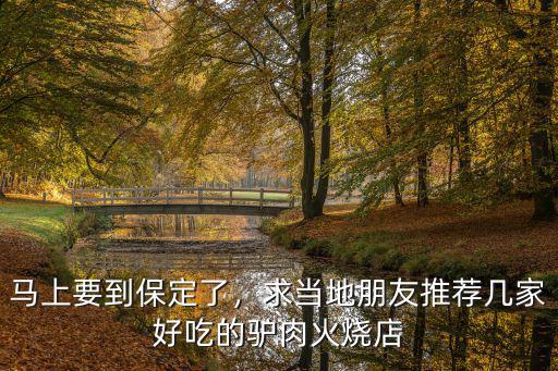 保定的驢肉火燒多少錢,都說保定的驢肉火燒有名