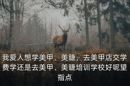 我愛人想學美甲、美睫，去美甲店交學費學還是去美甲、美睫培訓學校好呢望指點