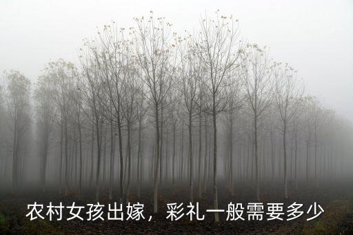 農村女孩出嫁，彩禮一般需要多少
