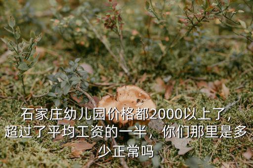 上石家莊的幼兒園的多少錢,在石家莊有一個孩子上幼兒園
