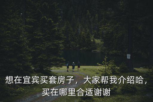 宜賓以后的城市中心在哪里,宜賓未來的城市中心在哪里